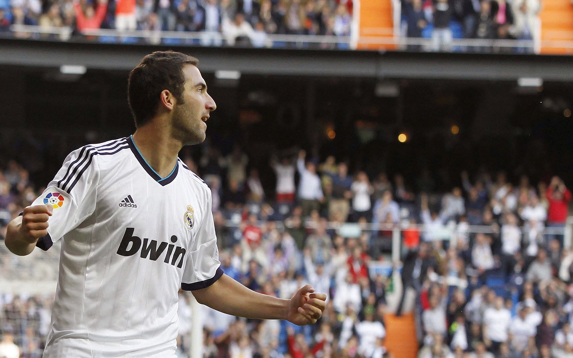 尼日利亚联赛观众人数增长,尼日利亚足球队战绩